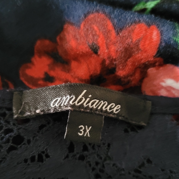 Ambiance Sleeveless High-Low Blouse - Picture 4 of 9